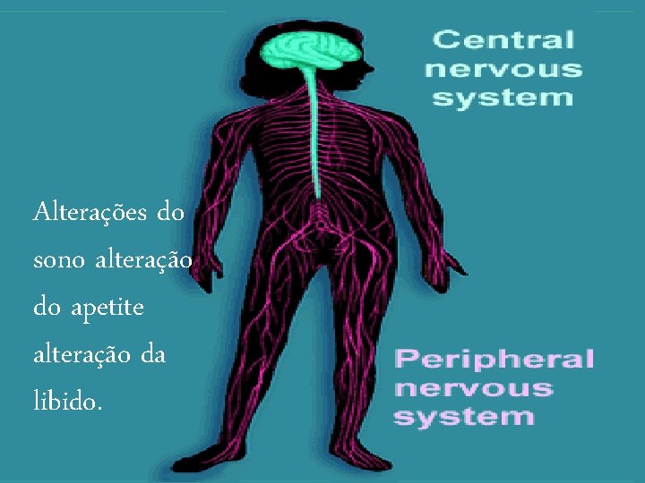 Alterações do sono alteração do apetite alteração da libido. 