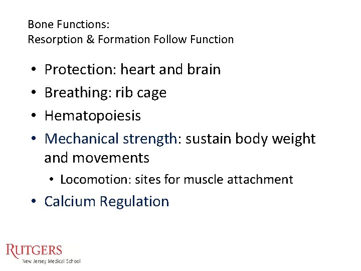 Bone Functions: Resorption & Formation Follow Function • • Protection: heart and brain Breathing: Bone Functions: Resorption & Formation Follow Function • • Protection: heart and brain Breathing: