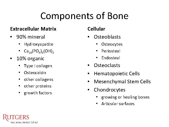 Components of Bone Extracellular Matrix • 90% mineral Cellular • Osteoblasts • Hydroxyapatite • Components of Bone Extracellular Matrix • 90% mineral Cellular • Osteoblasts • Hydroxyapatite •