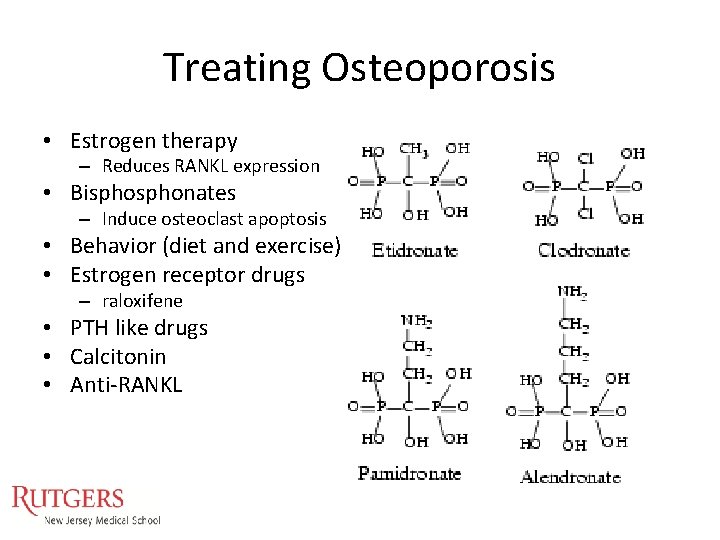 Treating Osteoporosis • Estrogen therapy – Reduces RANKL expression • Bisphonates – Induce osteoclast Treating Osteoporosis • Estrogen therapy – Reduces RANKL expression • Bisphonates – Induce osteoclast