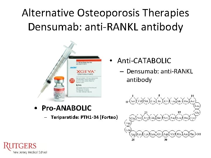 Alternative Osteoporosis Therapies Densumab: anti-RANKL antibody • Anti-CATABOLIC – Densumab: anti-RANKL antibody • Pro-ANABOLIC Alternative Osteoporosis Therapies Densumab: anti-RANKL antibody • Anti-CATABOLIC – Densumab: anti-RANKL antibody • Pro-ANABOLIC