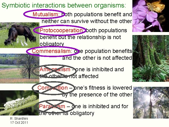 Symbiotic interactions between organisms: Mutualism: both populations benefit and neither can survive without the