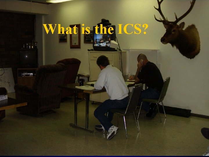 What is the ICS? 