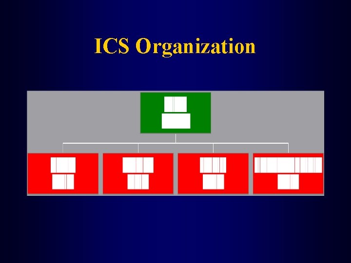 ICS Organization 