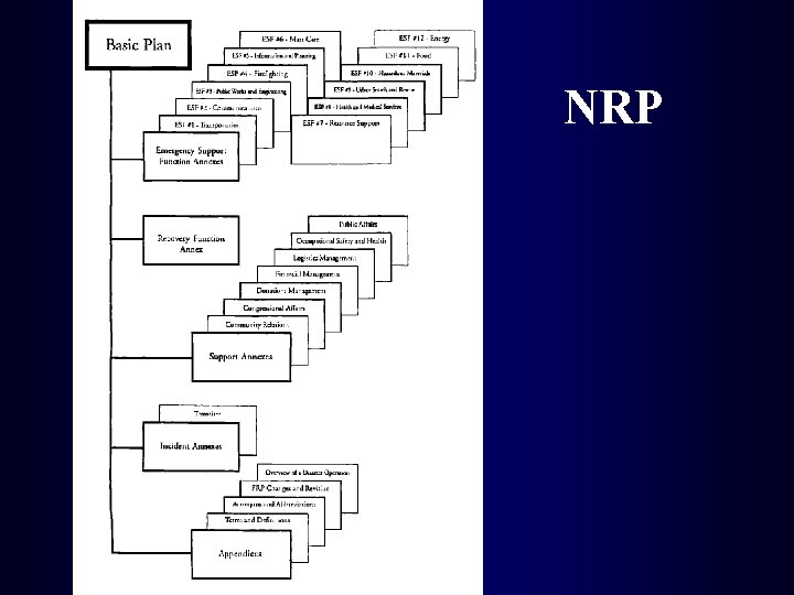 NRP 