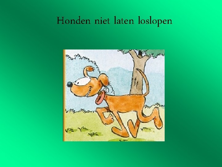 Honden niet laten loslopen 