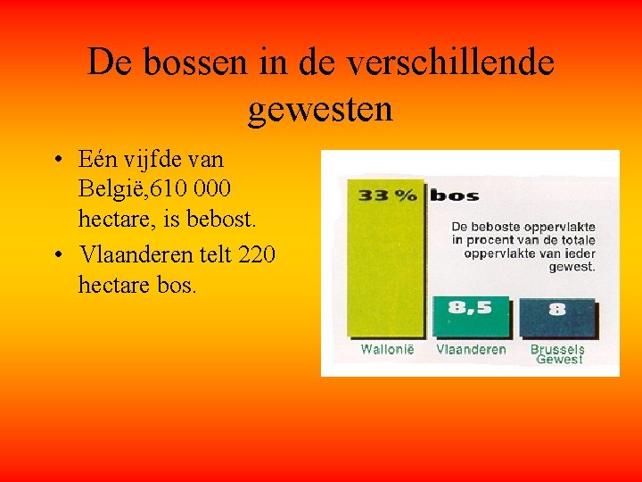 De bossen in de verschillende gewesten • Eén vijfde van België, 610 000 hectare,