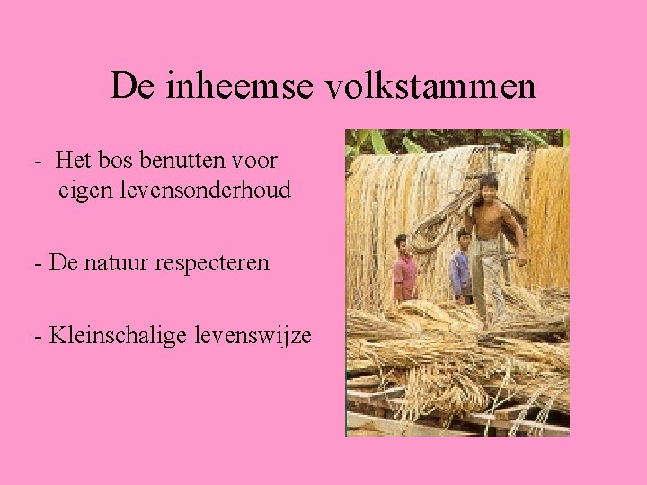 De inheemse volkstammen - Het bos benutten voor eigen levensonderhoud - De natuur respecteren