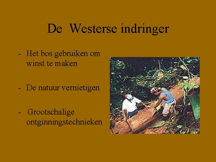 De Westerse indringer - Het bos gebruiken om winst te maken - De natuur