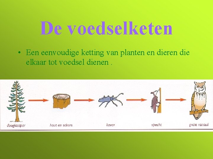 De voedselketen • Een eenvoudige ketting van planten en dieren die elkaar tot voedsel