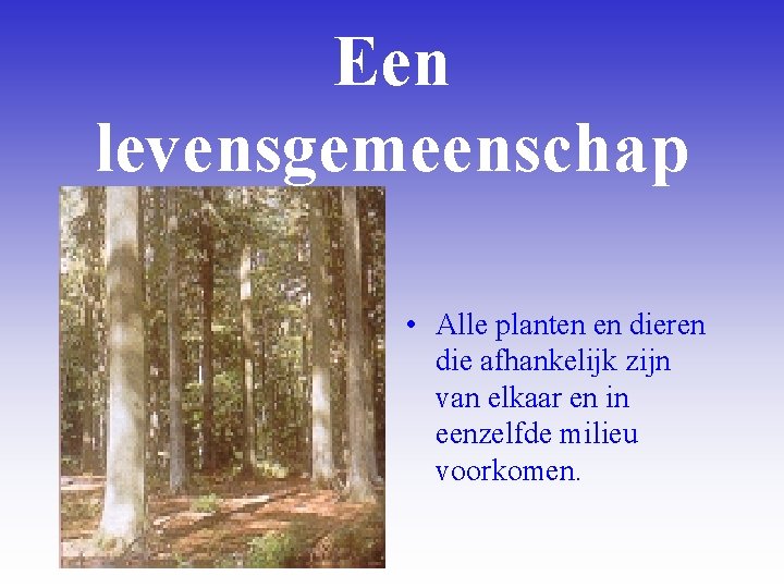 Een levensgemeenschap • Alle planten en dieren die afhankelijk zijn van elkaar en in