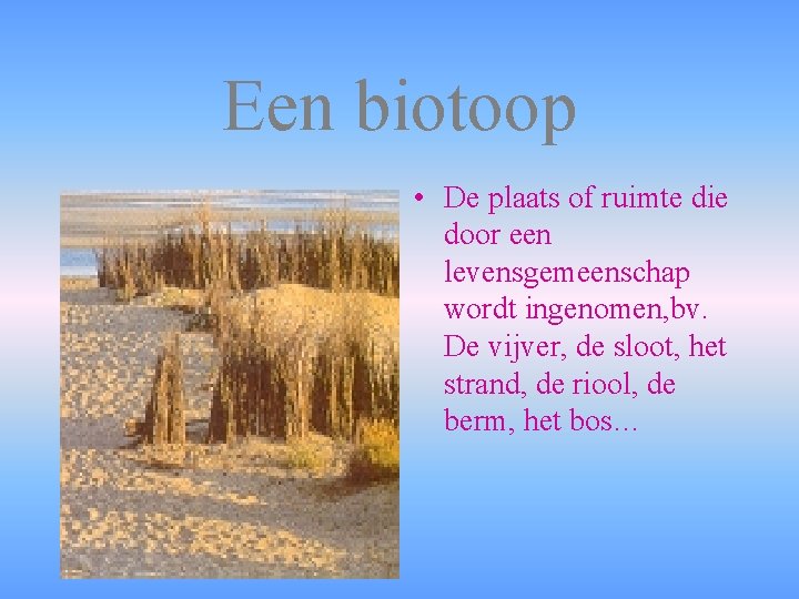 Een biotoop • De plaats of ruimte die door een levensgemeenschap wordt ingenomen, bv.