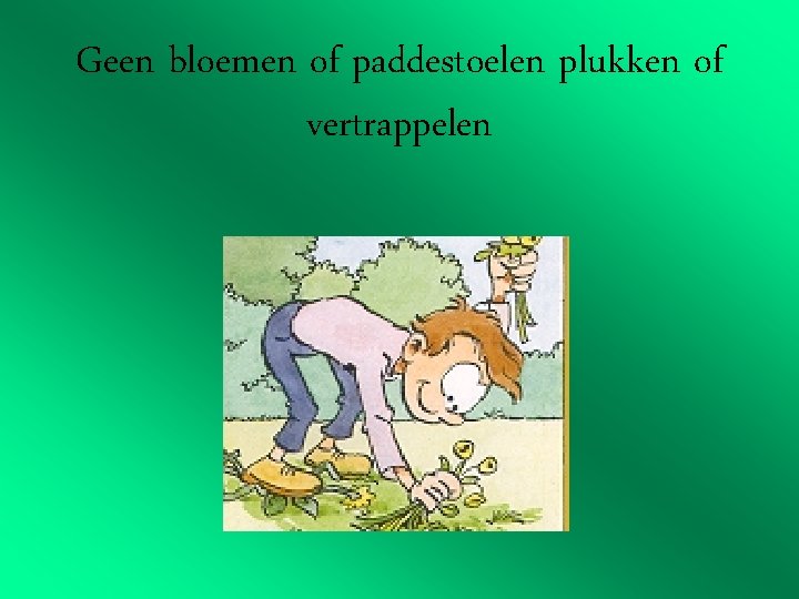 Geen bloemen of paddestoelen plukken of vertrappelen 