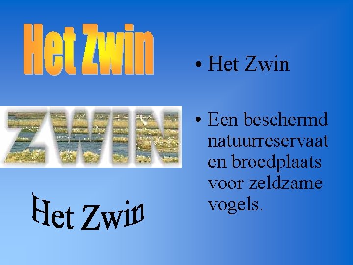  • Het Zwin • Een beschermd natuurreservaat en broedplaats voor zeldzame vogels. 
