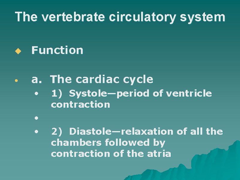 The vertebrate circulatory system u Function • a. The cardiac cycle • • •
