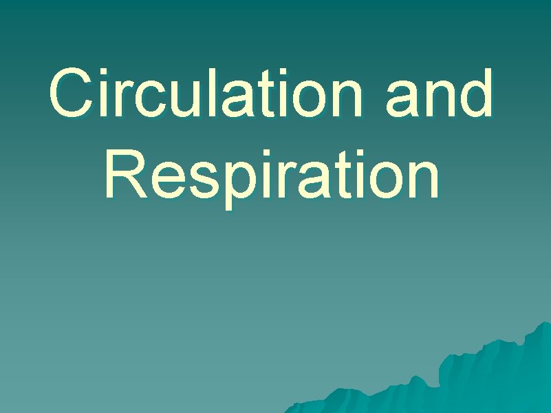 Circulation and Respiration 
