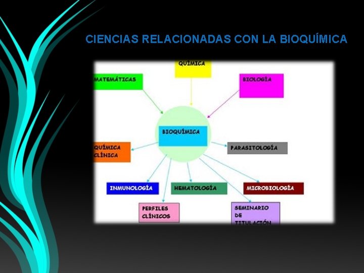 CIENCIAS RELACIONADAS CON LA BIOQUÍMICA 