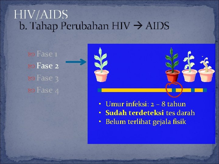 HIV/AIDS b. Tahap Perubahan HIV AIDS Fase 1 Fase 2 Fase 3 Fase 4