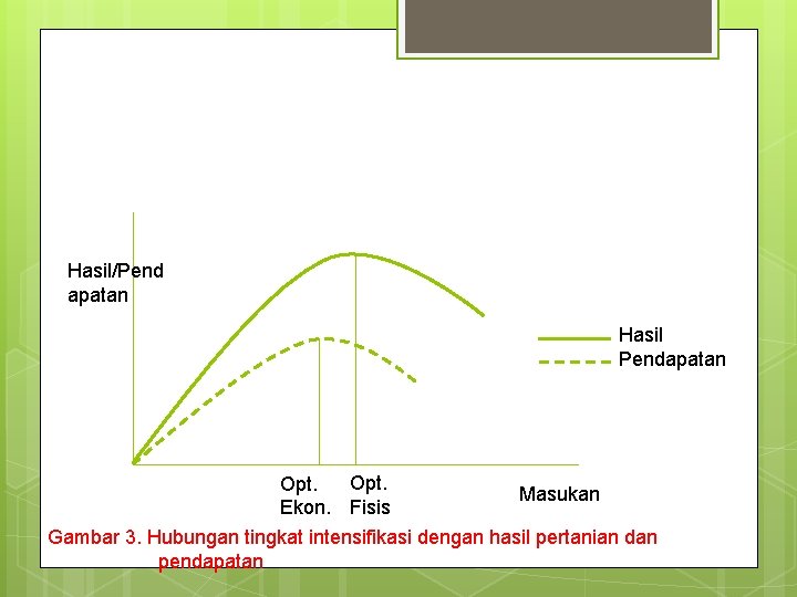 Hasil/Pend apatan Hasil Pendapatan Opt. Masukan Ekon. Fisis Gambar 3. Hubungan tingkat intensifikasi dengan