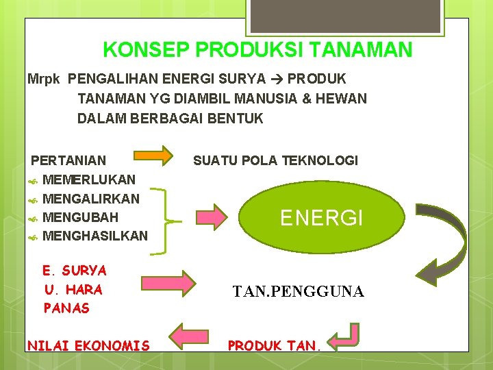 KONSEP PRODUKSI TANAMAN Mrpk PENGALIHAN ENERGI SURYA PRODUK TANAMAN YG DIAMBIL MANUSIA & HEWAN