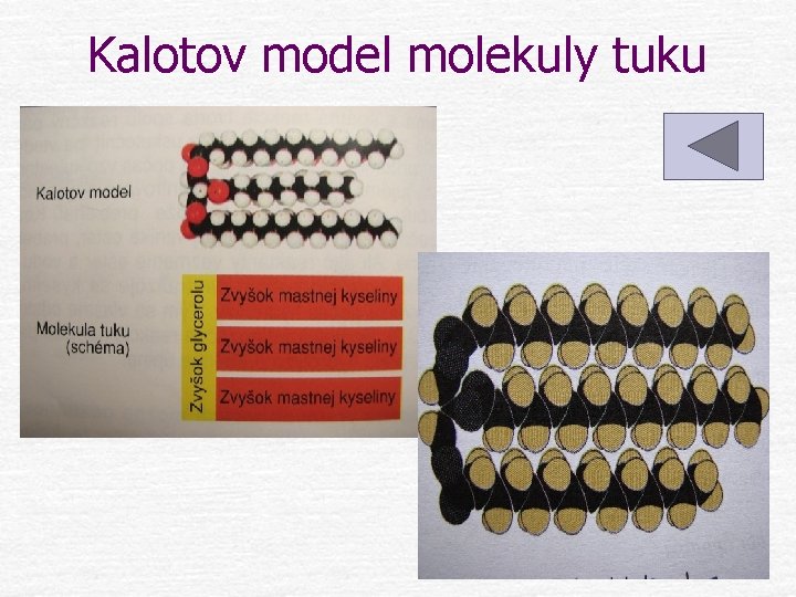 Kalotov model molekuly tuku 