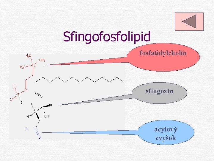 Sfingofosfolipid fosfatidylcholín sfingozín acylový zvyšok 