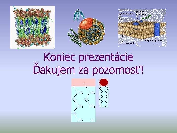 Koniec prezentácie Ďakujem za pozornosť! 