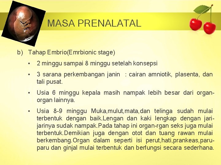 MASA PRENALATAL b) Tahap Embrio(Emrbionic stage) • 2 minggu sampai 8 minggu setelah konsepsi