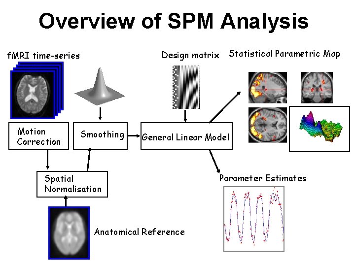 Overview of SPM Analysis Design matrix f. MRI time-series Motion Correction Smoothing Statistical Parametric