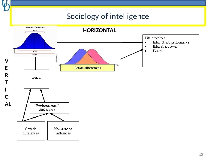 Sociology of intelligence HORIZONTAL Intelligence differences (g) V E R T I C AL