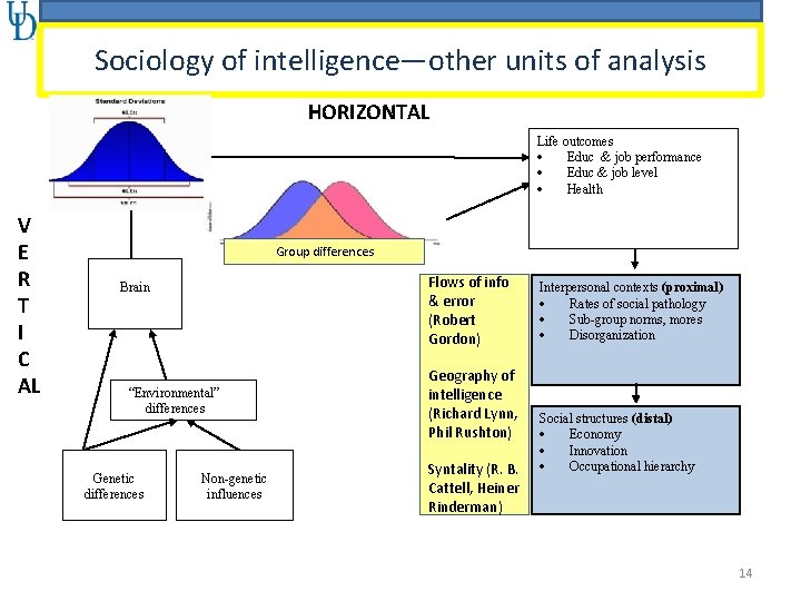 Sociology of intelligence—other units of analysis HORIZONTAL Intelligence differences (g) V E R T