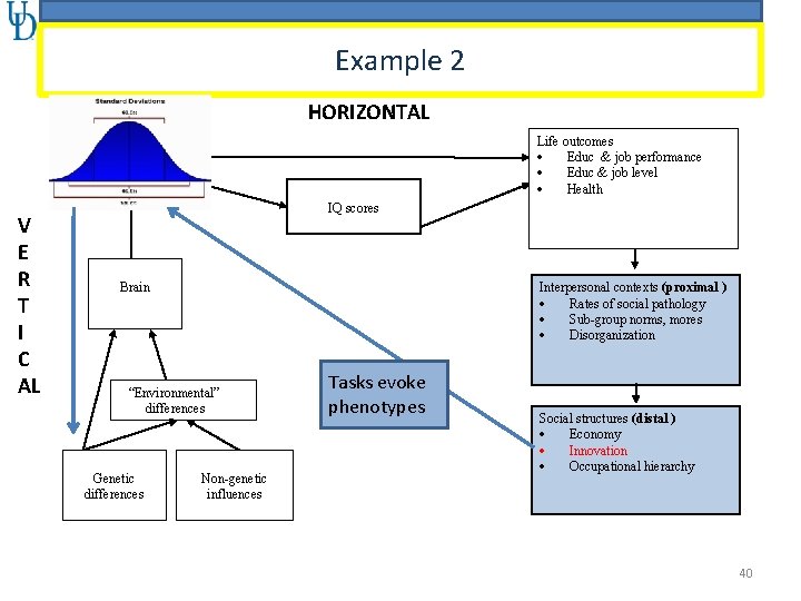 Example 2 HORIZONTAL Intelligence differences (g) V E R T I C AL Life