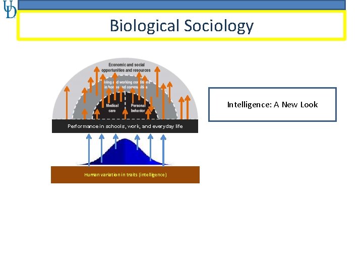 Biological Sociology Intelligence: A New Look Performance in schools, work, and everyday life Human