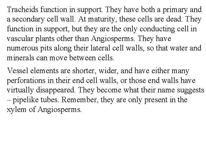 Tracheids function in support. They have both a primary and a secondary cell wall.