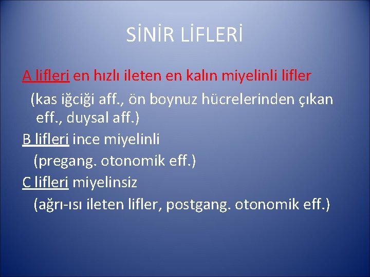 SİNİR LİFLERİ A lifleri en hızlı ileten en kalın miyelinli lifler (kas iğciği aff.