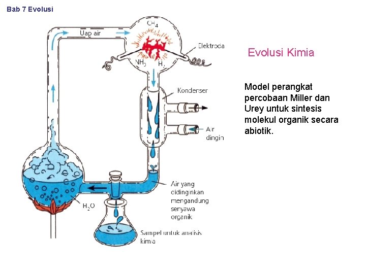 Bab 7 Evolusi Kimia Model perangkat percobaan Miller dan Urey untuk sintesis molekul organik