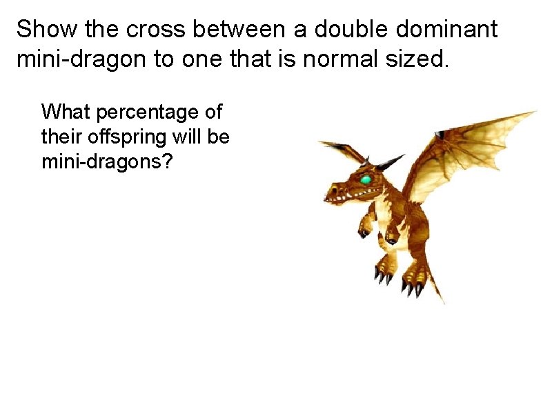 Show the cross between a double dominant mini-dragon to one that is normal sized.