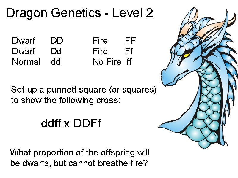 Dragon Genetics - Level 2 Dwarf DD Dwarf Dd Normal dd Fire FF Fire
