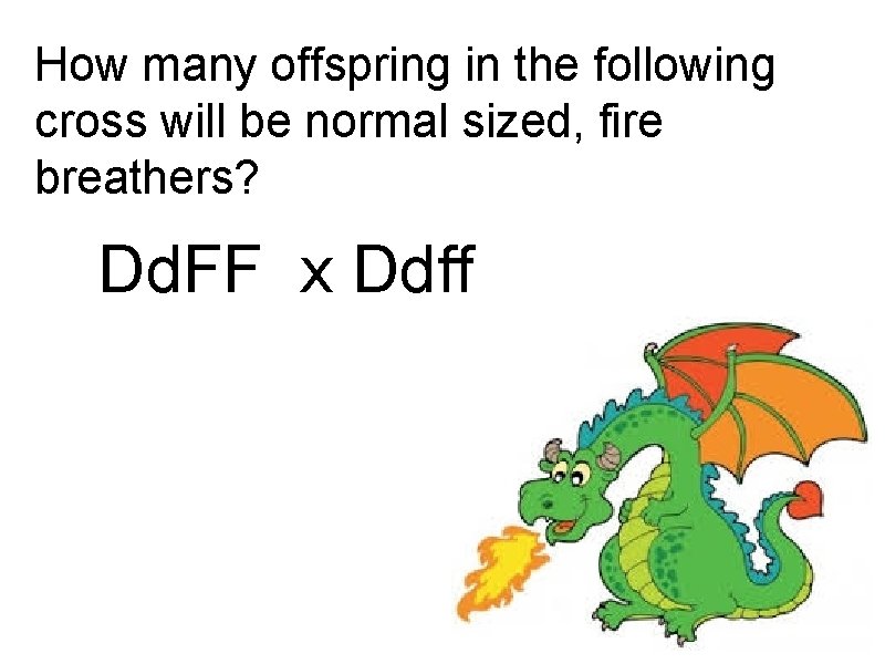 How many offspring in the following cross will be normal sized, fire breathers? Dd.