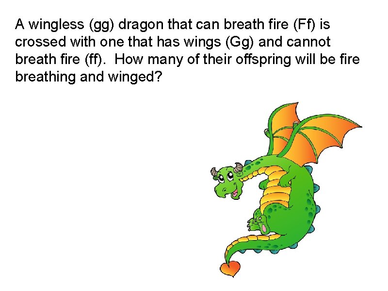 A wingless (gg) dragon that can breath fire (Ff) is crossed with one that