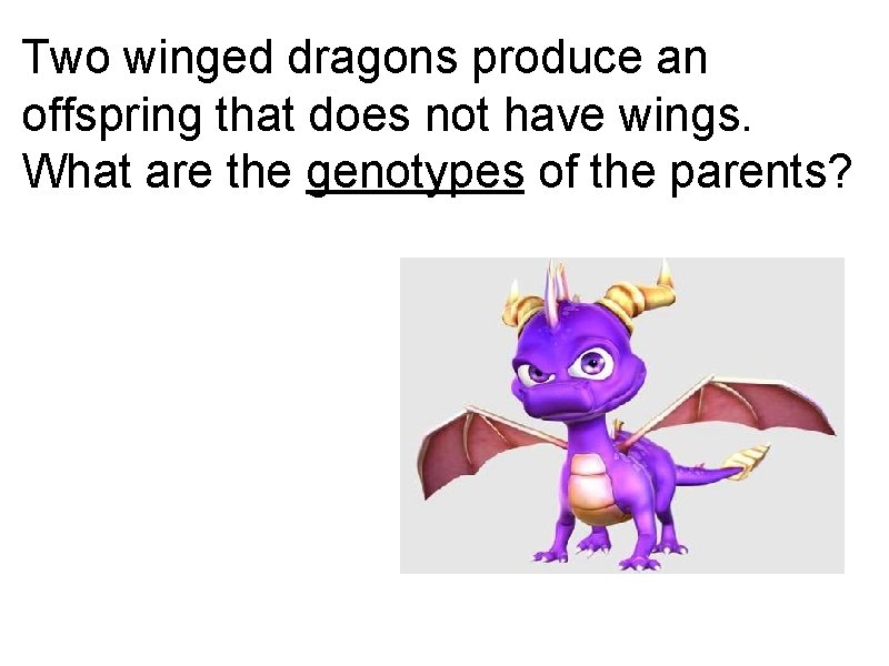 Two winged dragons produce an offspring that does not have wings. What are the