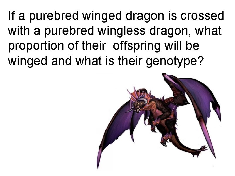 If a purebred winged dragon is crossed with a purebred wingless dragon, what proportion