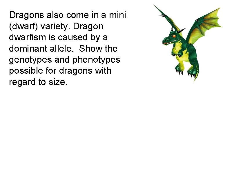 Dragons also come in a mini (dwarf) variety. Dragon dwarfism is caused by a