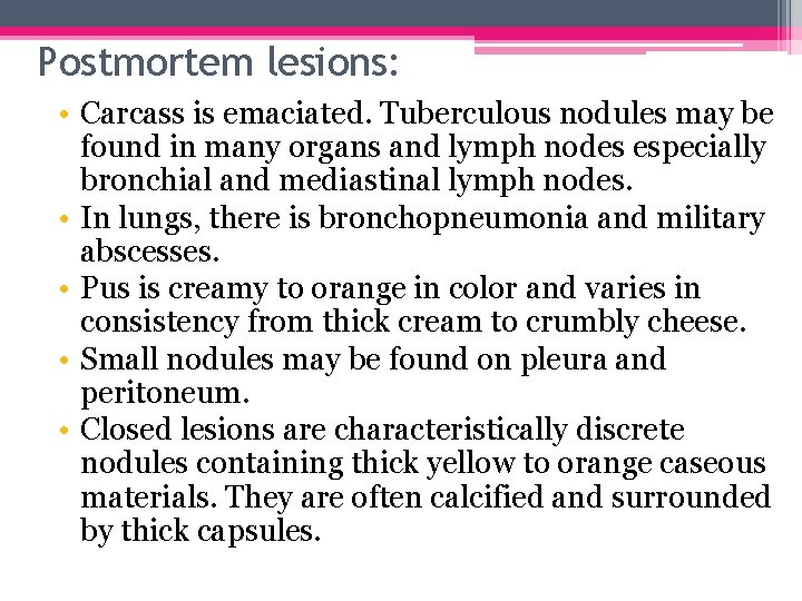Postmortem lesions: • Carcass is emaciated. Tuberculous nodules may be found in many organs
