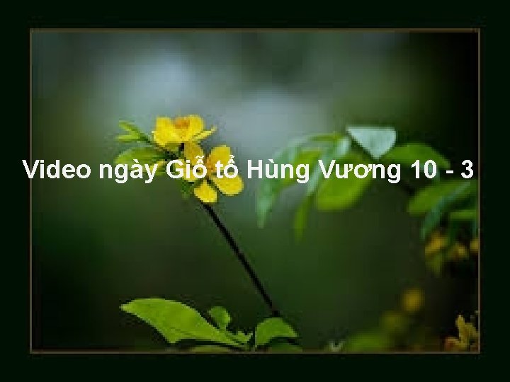 Video ngày Giỗ tổ Hùng Vương 10 - 3 