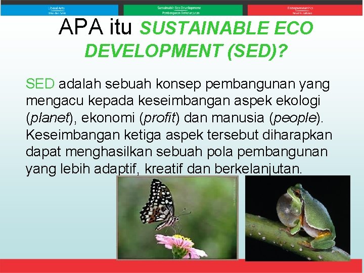 APA itu SUSTAINABLE ECO DEVELOPMENT (SED)? SED adalah sebuah konsep pembangunan yang mengacu kepada