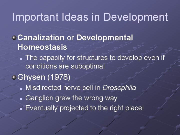 Important Ideas in Development Canalization or Developmental Homeostasis n The capacity for structures to