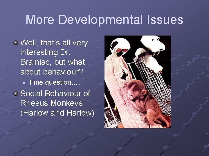 More Developmental Issues Well, that’s all very interesting Dr. Brainiac, but what about behaviour?