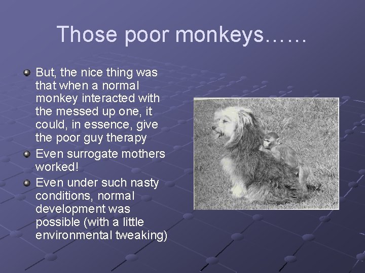 Those poor monkeys…… But, the nice thing was that when a normal monkey interacted