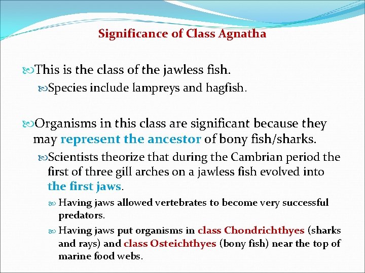 Significance of Class Agnatha This is the class of the jawless fish. Species include